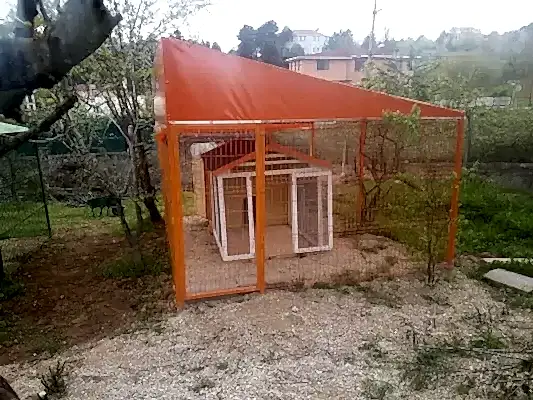 Güvenilir yavru köpek eğitimi hizmeti için Loyal Friend !