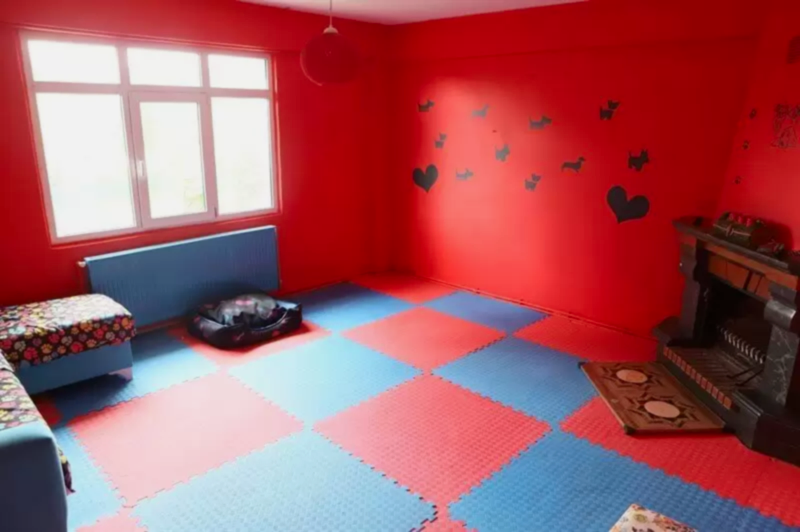 Köpek otelimizde dostlarımıza özel odalarımız ile onları güvenilir ortamlarda ağırlıyoruz.