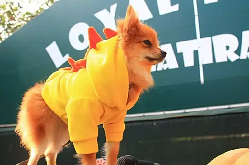 Dostlarınızı güvenilir ortamlarda uzman personelimiz ile ağırlıyor, onları mutlu etmenin gururunu aşıyoruz.