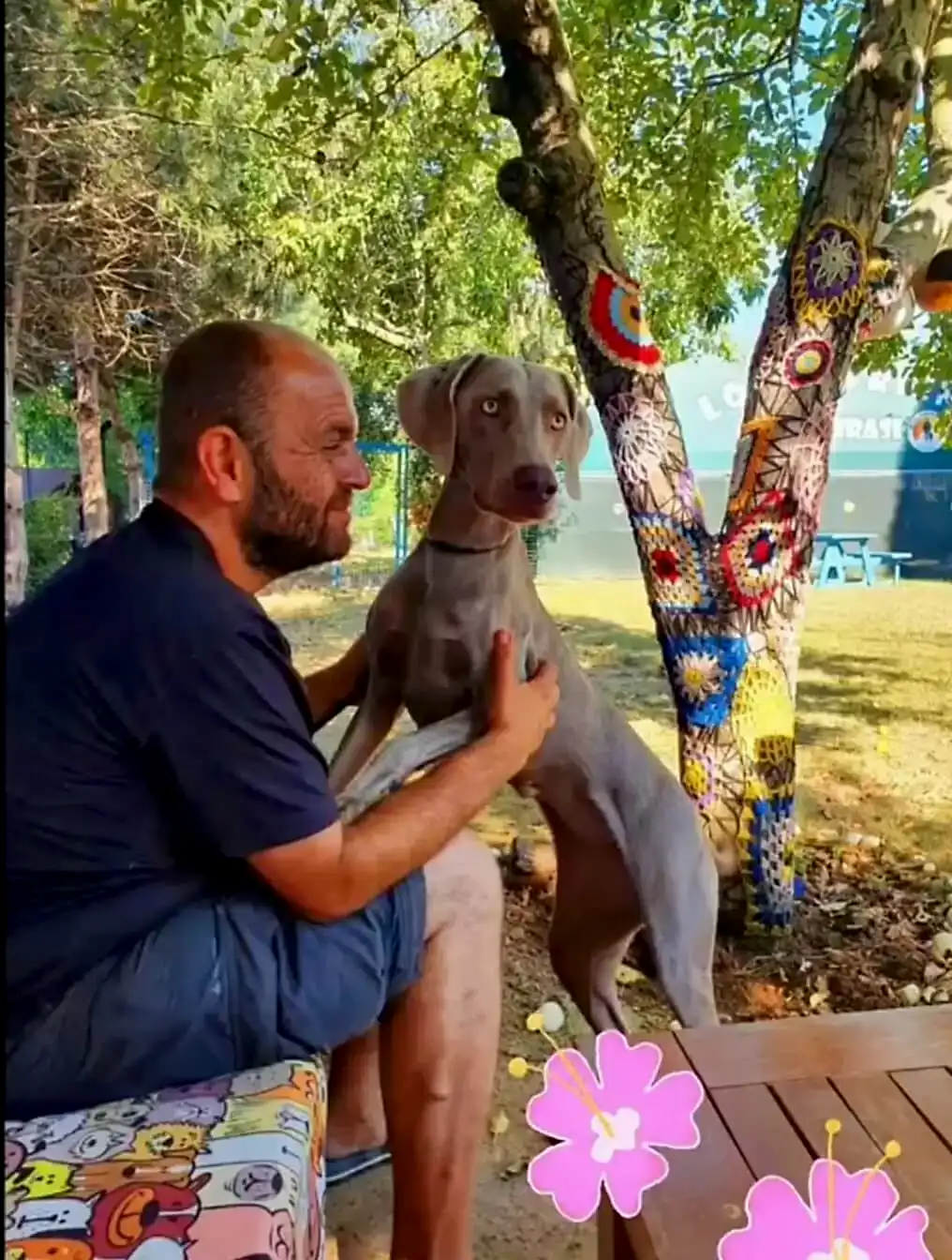 Hande Erçel de köpeğini Loyal Friend'e emanet etti.