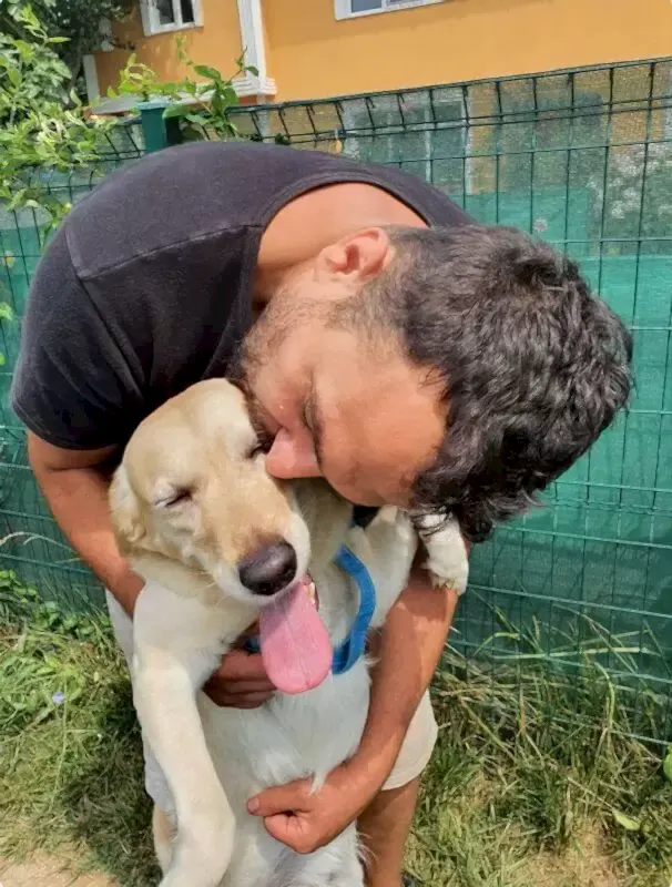 Köpek otelimizin misafiri Loki